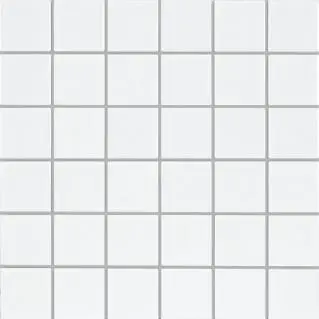 Mosaik Mt Vit Blank 4,8x4,8