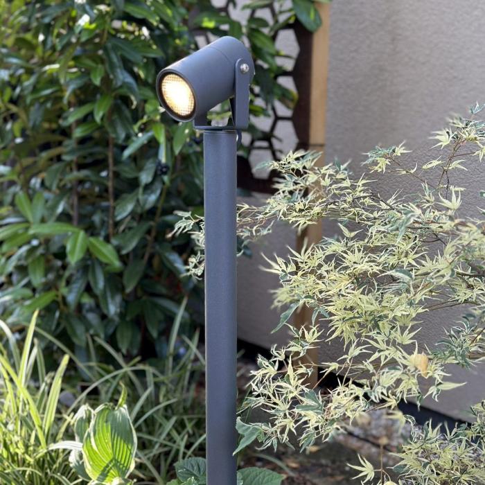 Pollare Luna 65