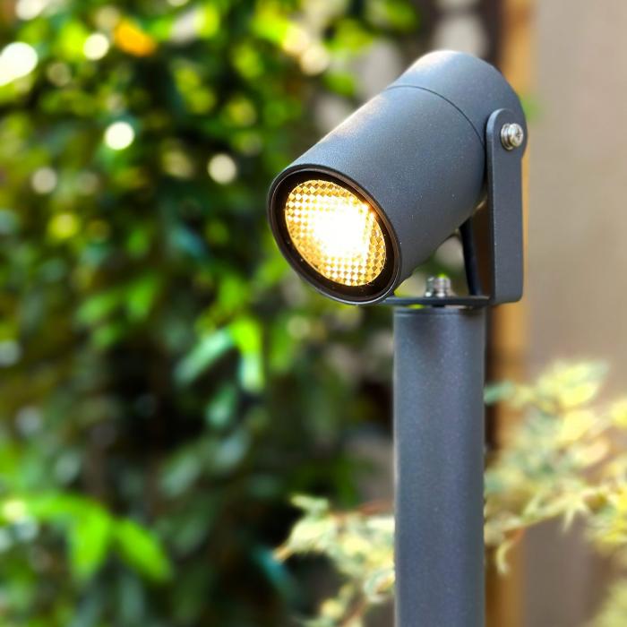 Pollare Luna 65