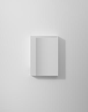 Spegelsk&aring;p Stage Plus