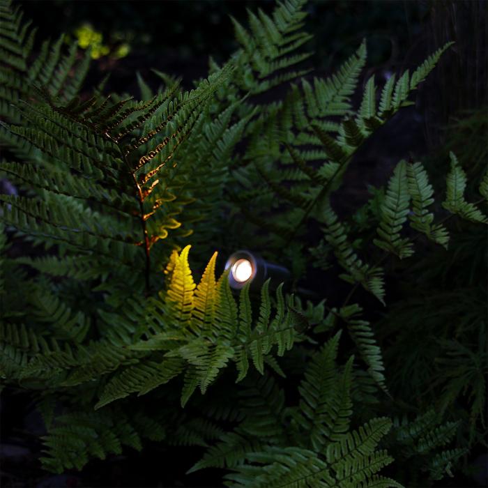 Markspot Optica