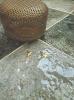 Klinker Antica Forest Blank 20x20, Blank