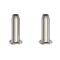 Borstad Nickel