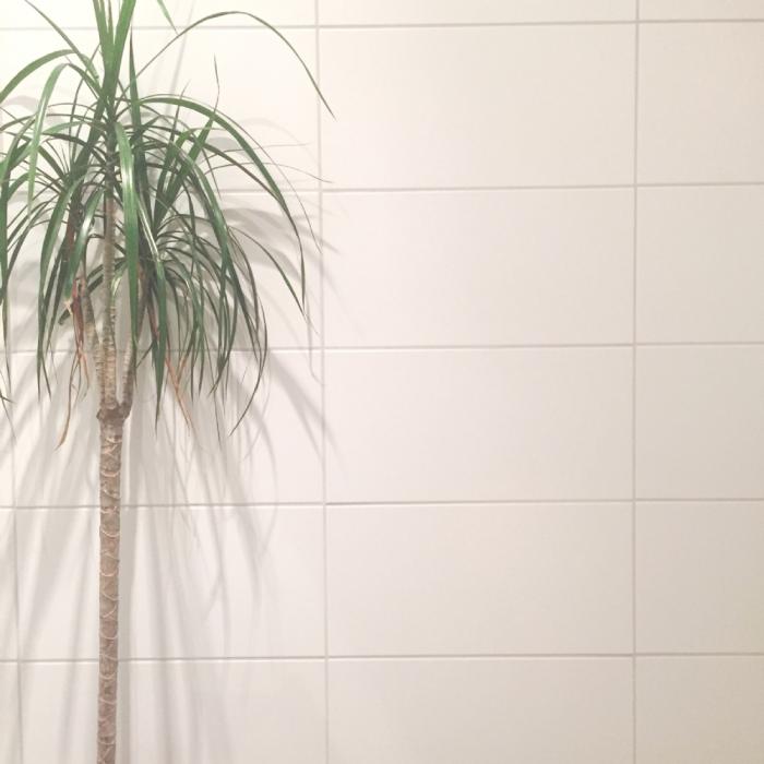 Boost vit matt 20x40