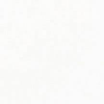 Ral White Gloss 9016 9,7x9,7 Ark