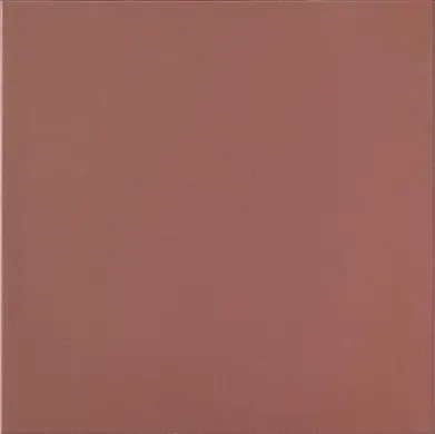 Mono Color Cotto 20x20, ral 8004