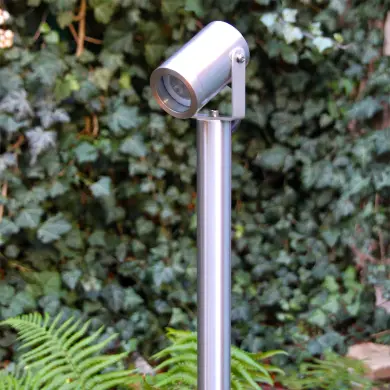 Pollare Luna 65