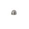 Borstad Nickel