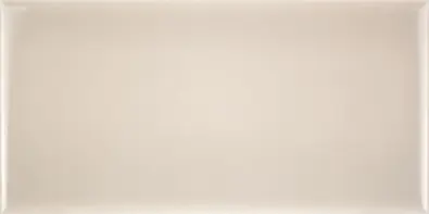 New England Dawn Grey 10x20