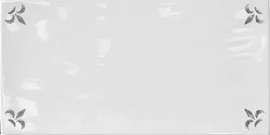 Flor de Lys Grey Gloss 10x20