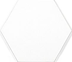 Hexagon White Matt 15x17