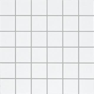 Mosaik Mt Vit Blank 4,8x4,8