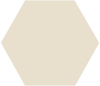 Solid Hexagon White 9,7x9,7